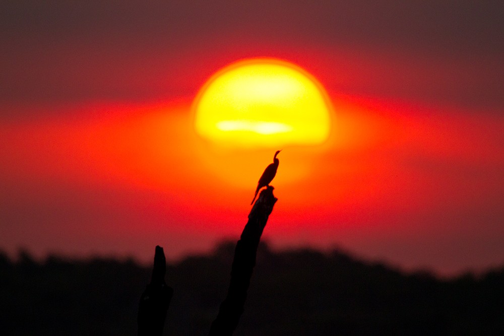 NT Sunset
